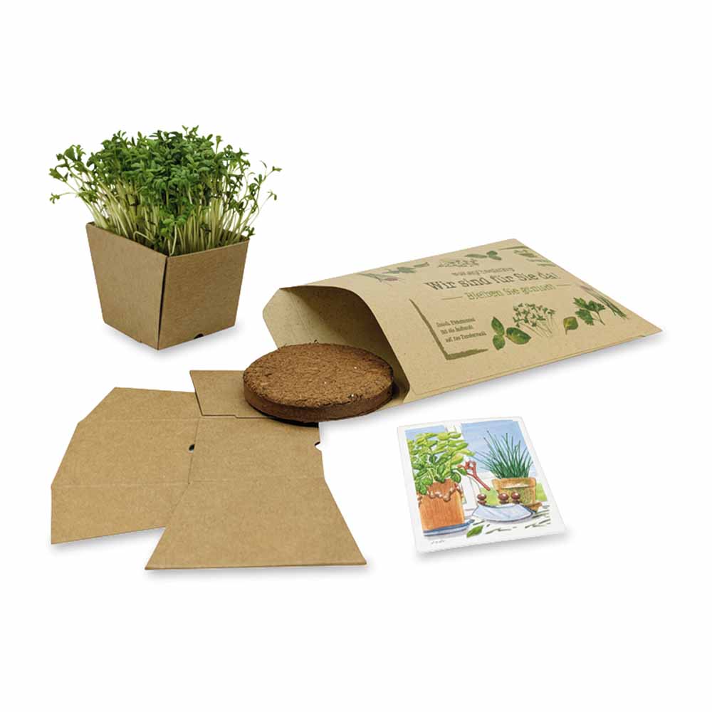 "Wünsch-Dir-Was" Samen-Pflanzset - (Kraftpapier) Kresse