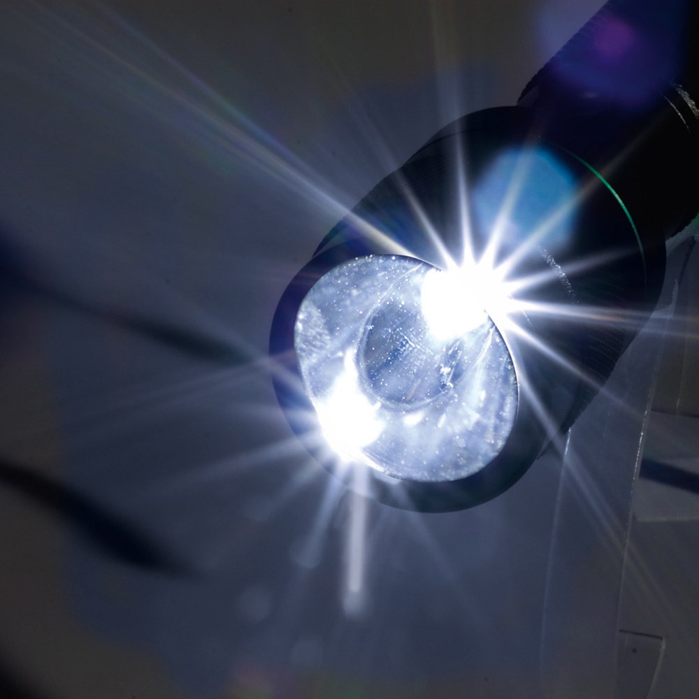 LED Leuchte "Security 3W schwarz/grün"